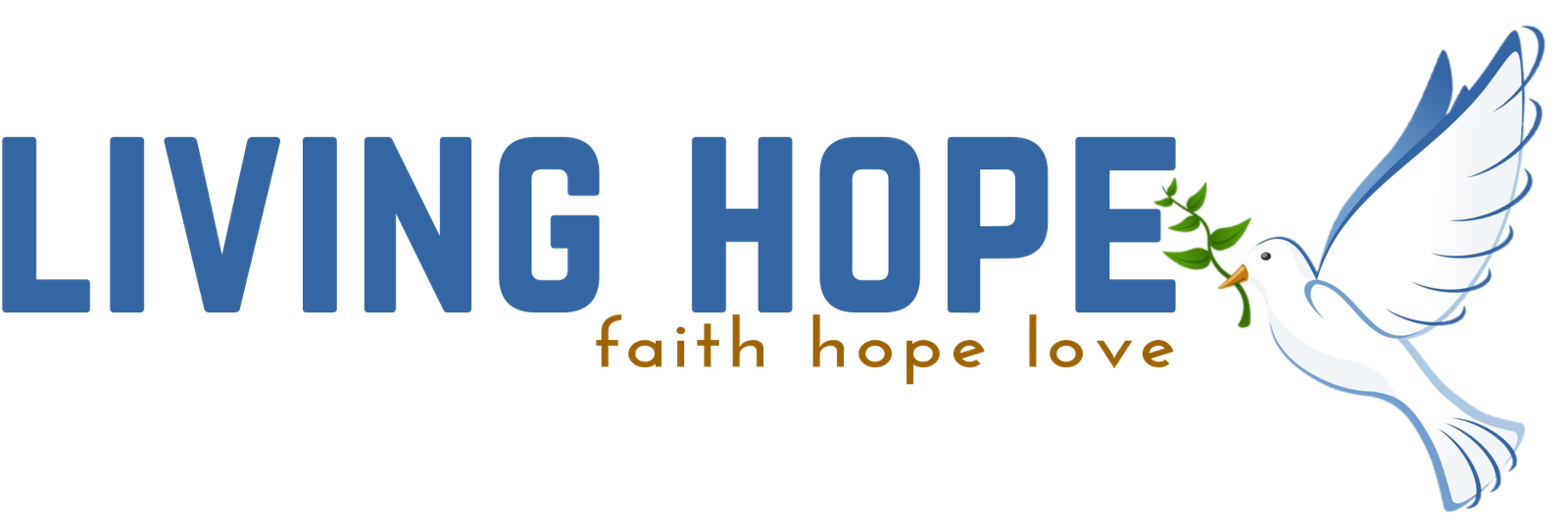 lhf full color banner